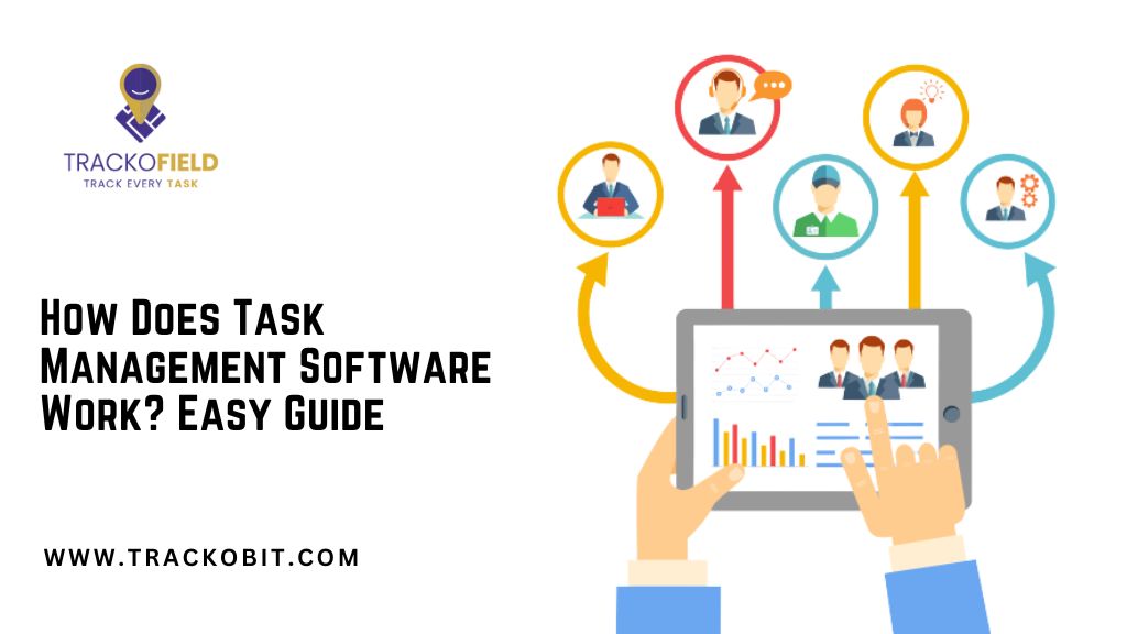 How Does Task Management Software Work Easy Guide