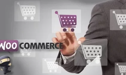 The growing demand for WooCommerce web developers